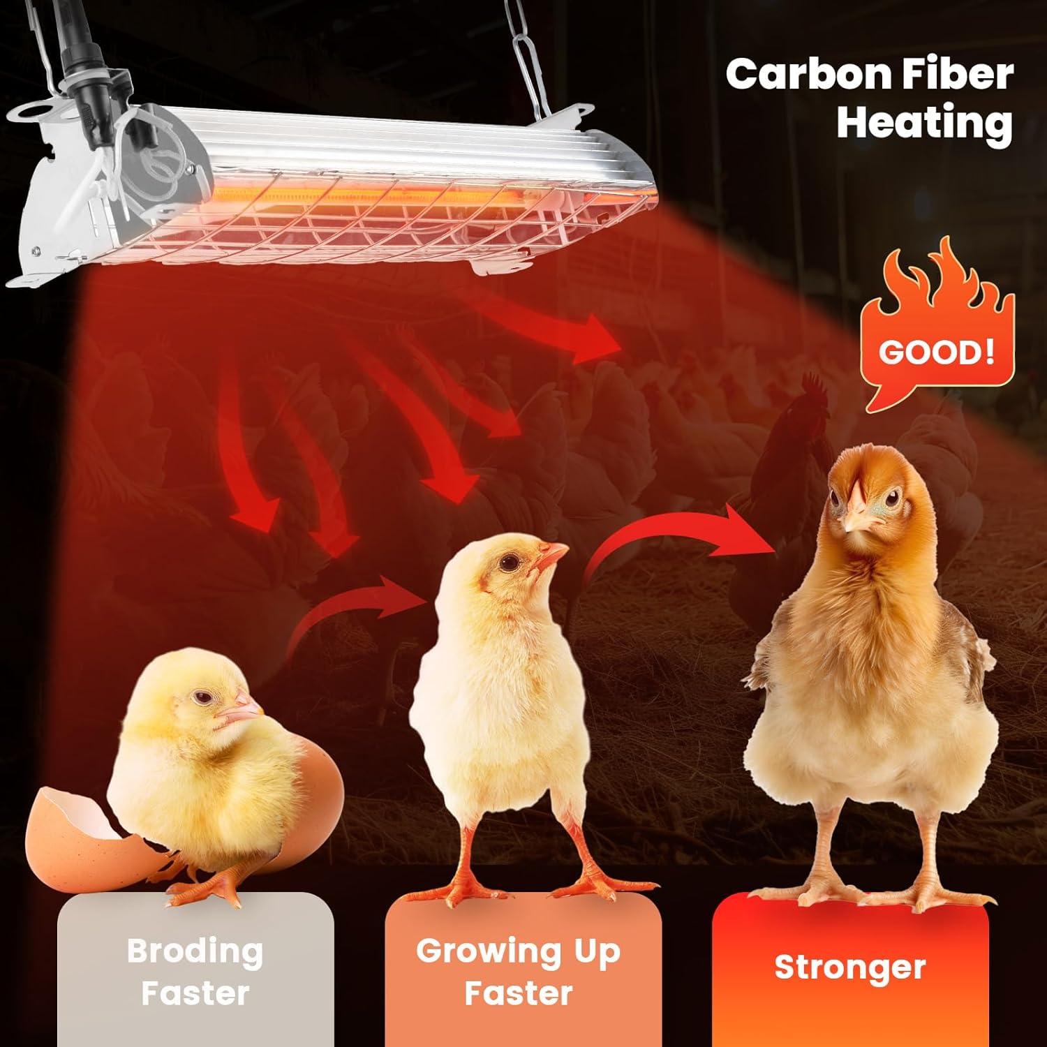 Wholesale duckling infrared lamps